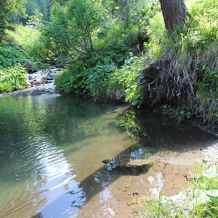 Alpehytte Almresort Sommerschnee *