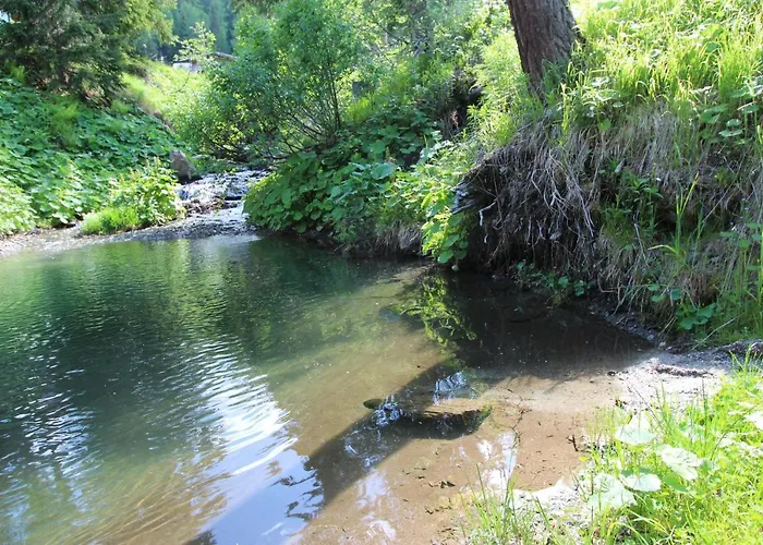 木屋 Almresort Sommerschnee *